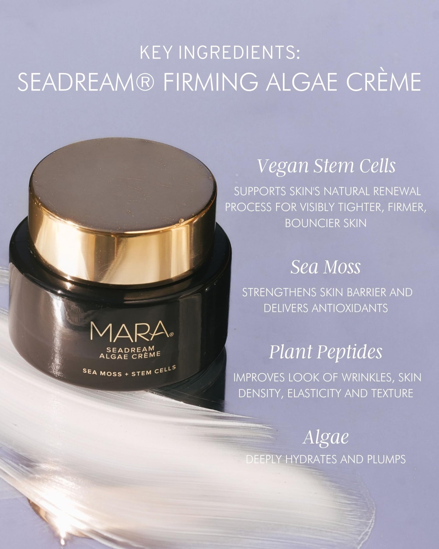 MARA - SeaDream Firming Algae Creme | Non-Toxic, Plant-Based Skin Care | Hydrates + Targets Fine Lines for Smoother Skin, For All Skin Types (1.7 fl oz | 50 ml)